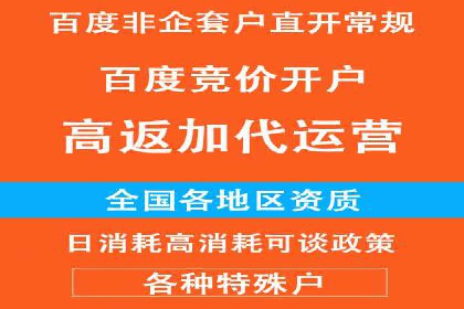 SEO百度推广策略：成功案例解析